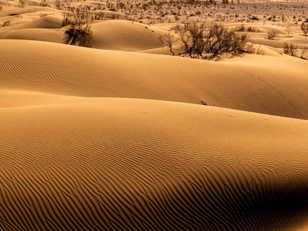 تور 2.5 روزه کویر مصر